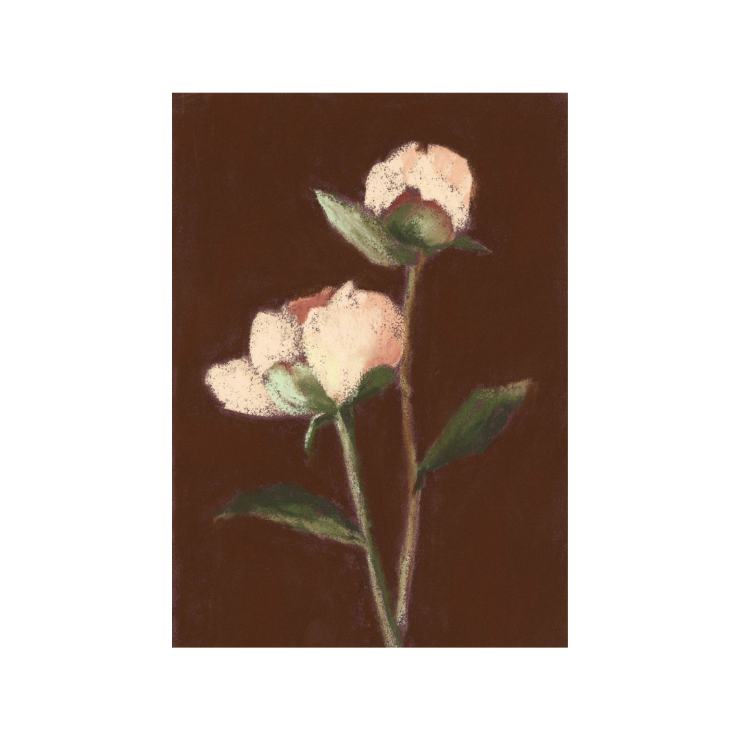 PairOfPeonies.png