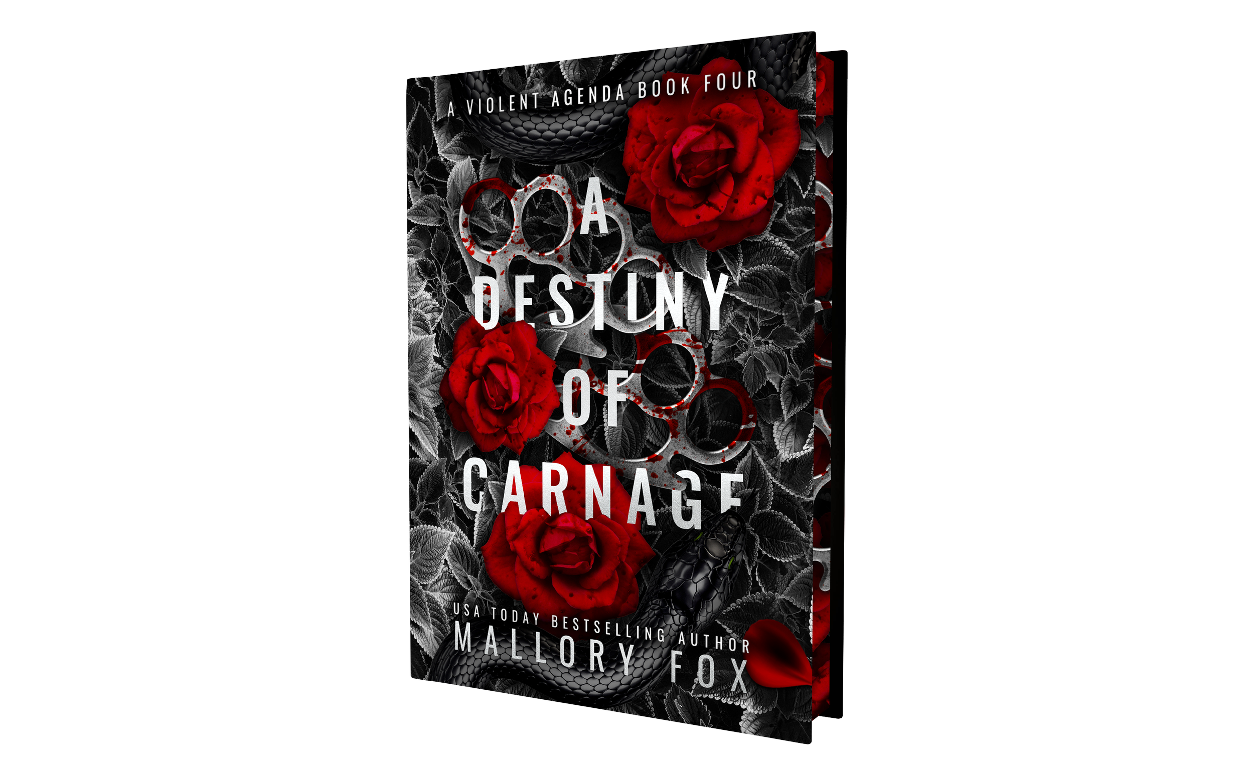 A Destiny of Carnage Special Edition Hardcover