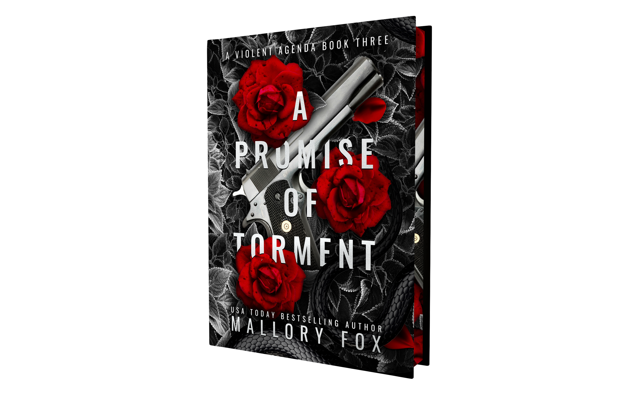 A Promise of Torment Special Edition Hardcover