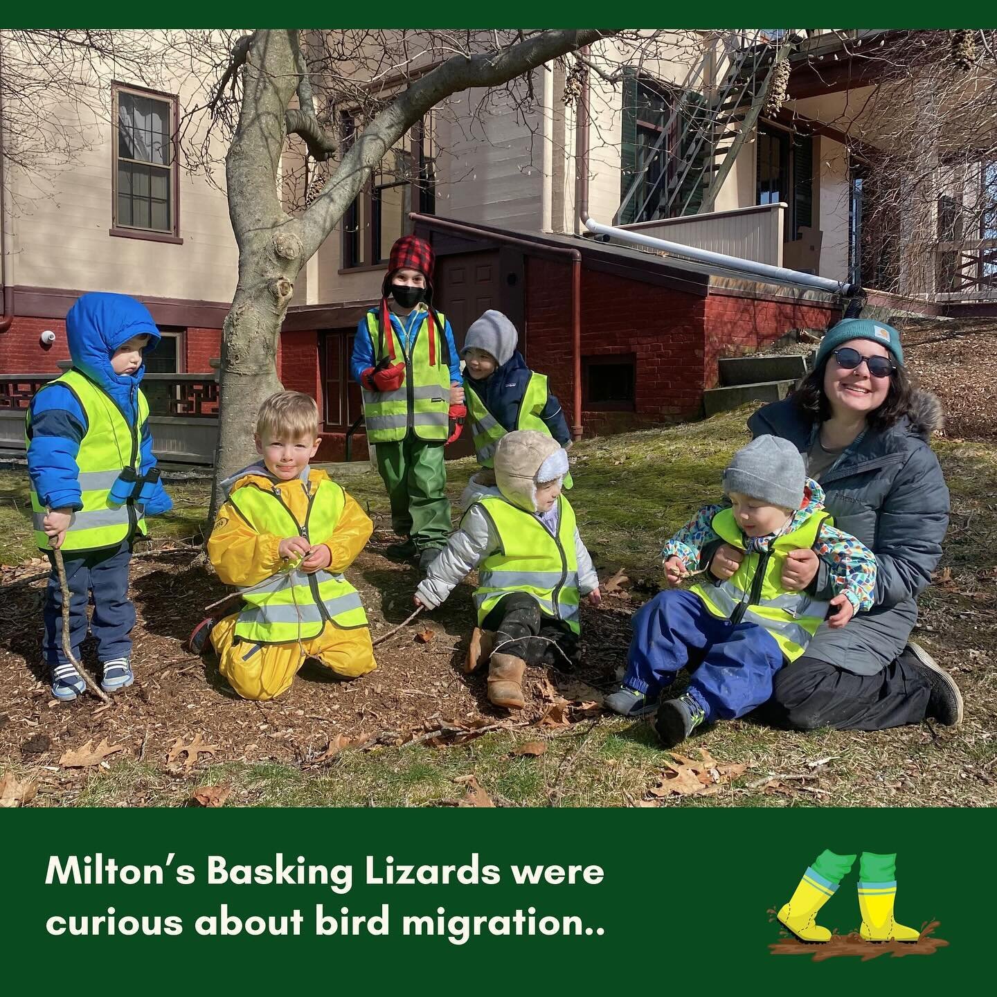 The Milton Basking Lizards have been busy crafting bird feeders at the Forbes House! At BOPN, our child-led curriculum empowers young learners to explore their interests freely. Are you considering a nature-based preschool for your child? BOPN has ex