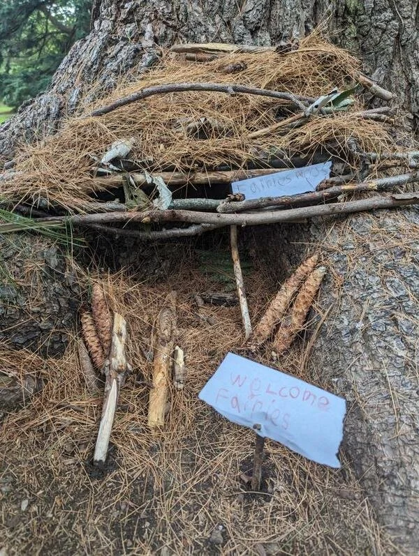 Why Choose MixedAge Programs Benefits of Learning & Play in an Age