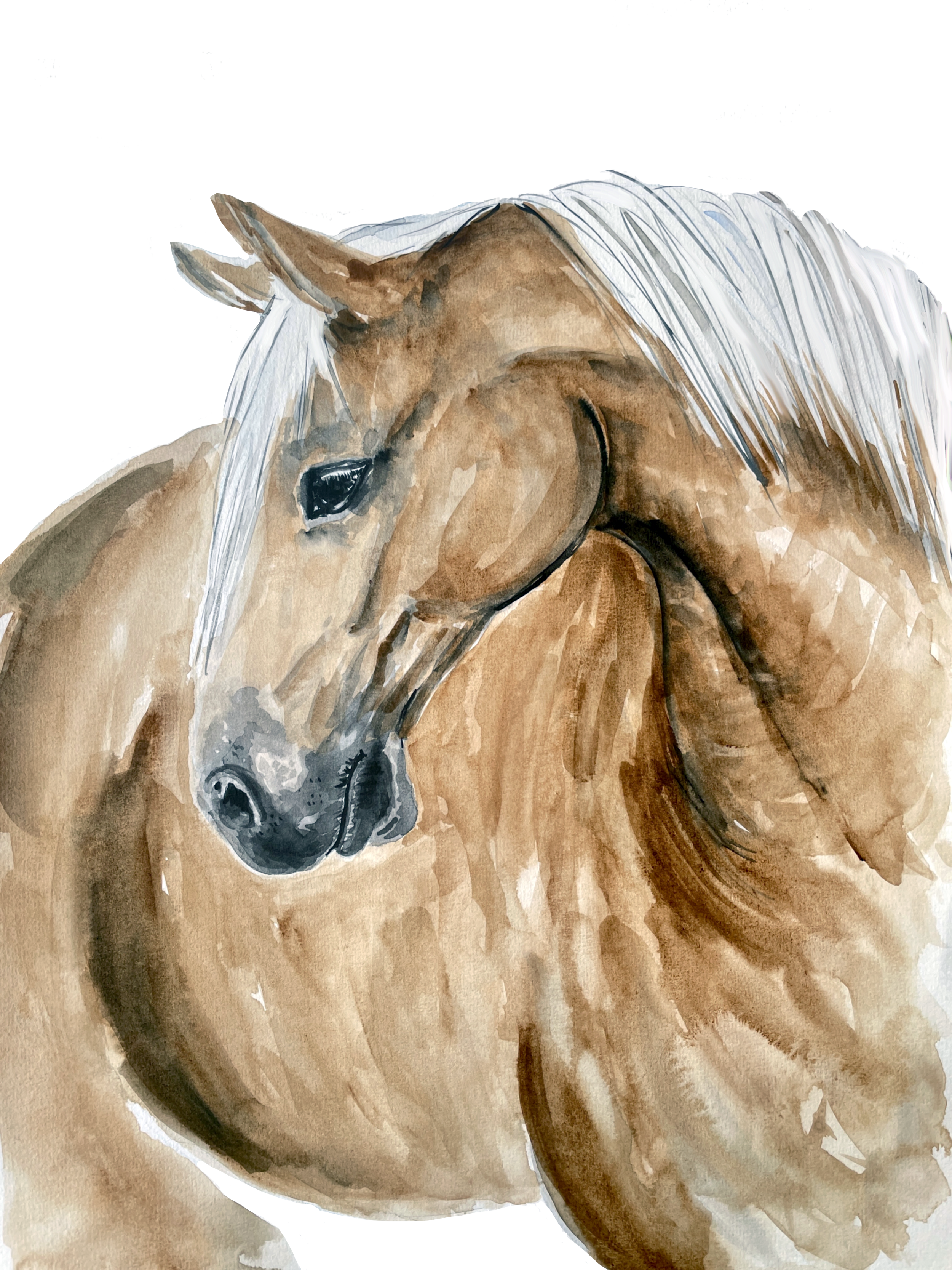 Pferd braun PM 2023 2.png