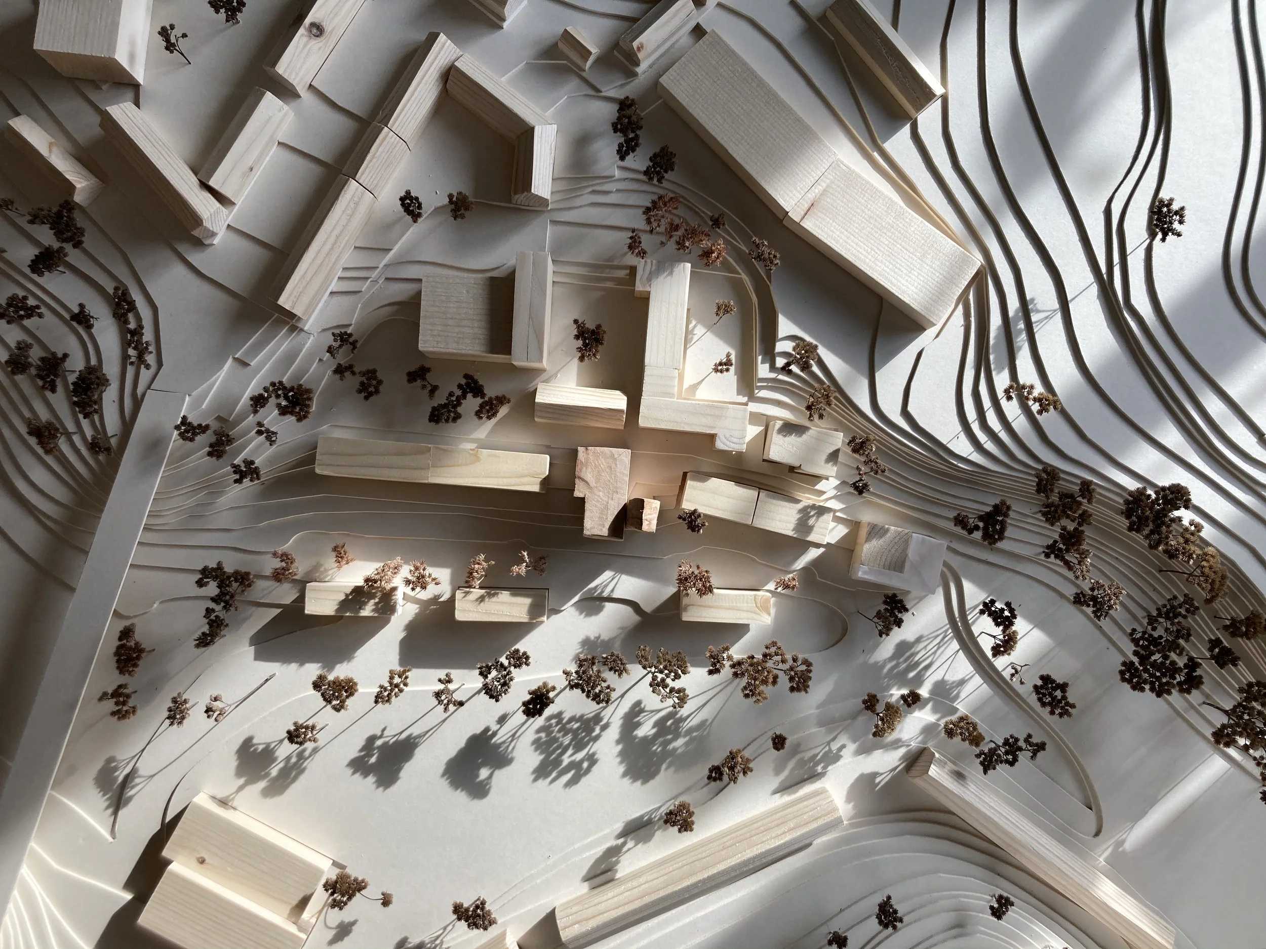 Darstellung eines Quartiers in Plauen mit Höhenlinien 