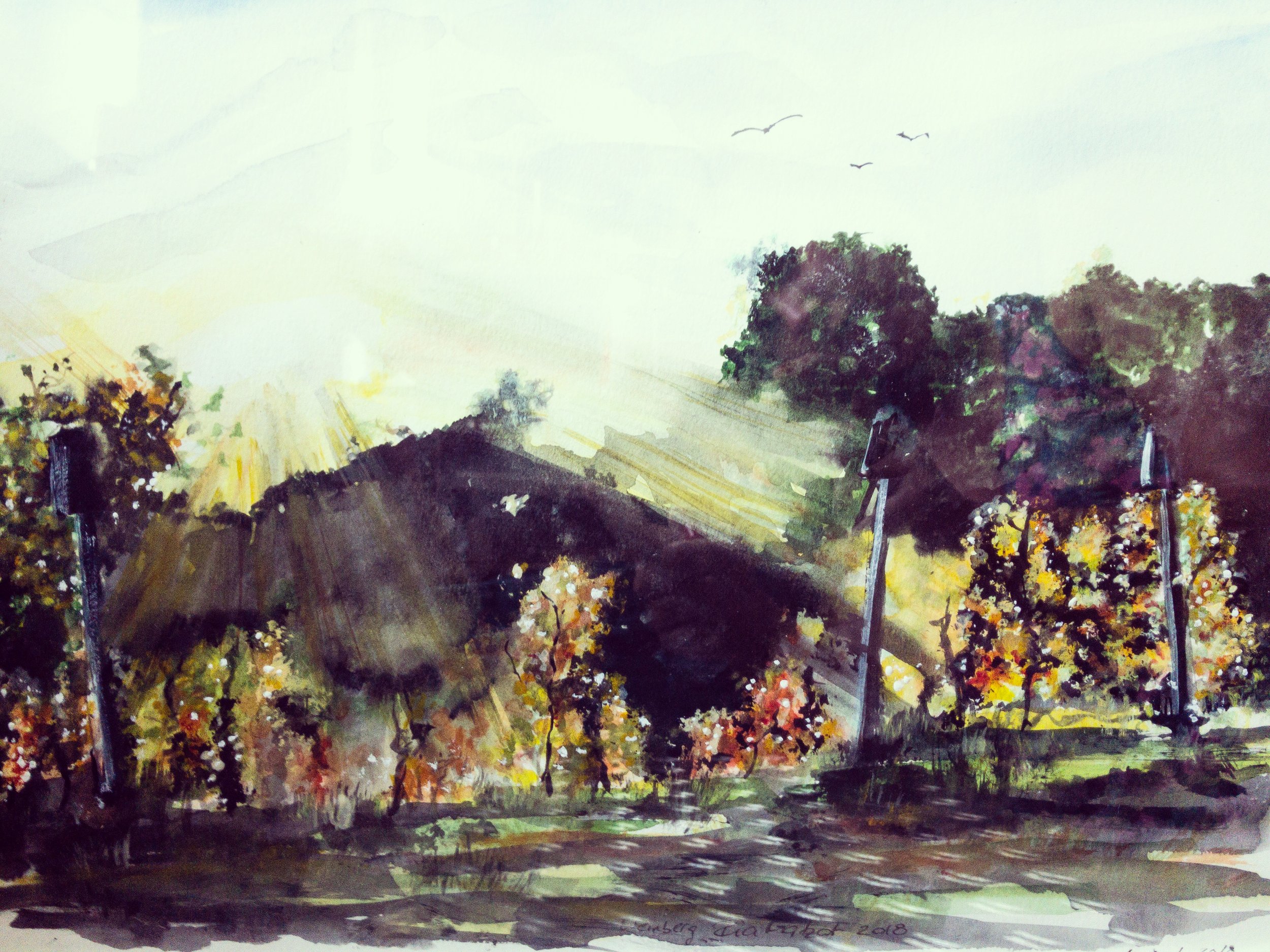 BA3E05D2-11E8-4906-9EF2-01F5B5281F0C Kopie.JPG