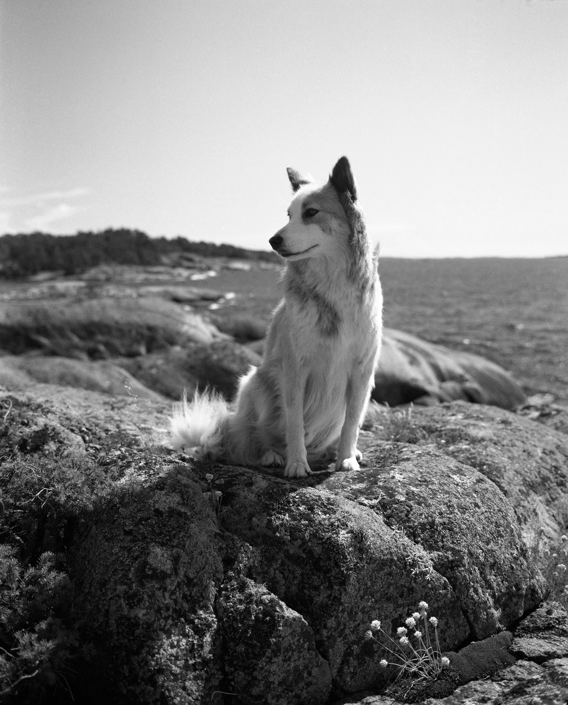 Indiana_Mamiya_Tmax400_Summer2023_004_portfolio.jpg