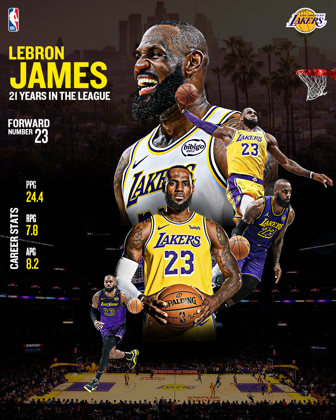 Lebron James 21 Years in the League.