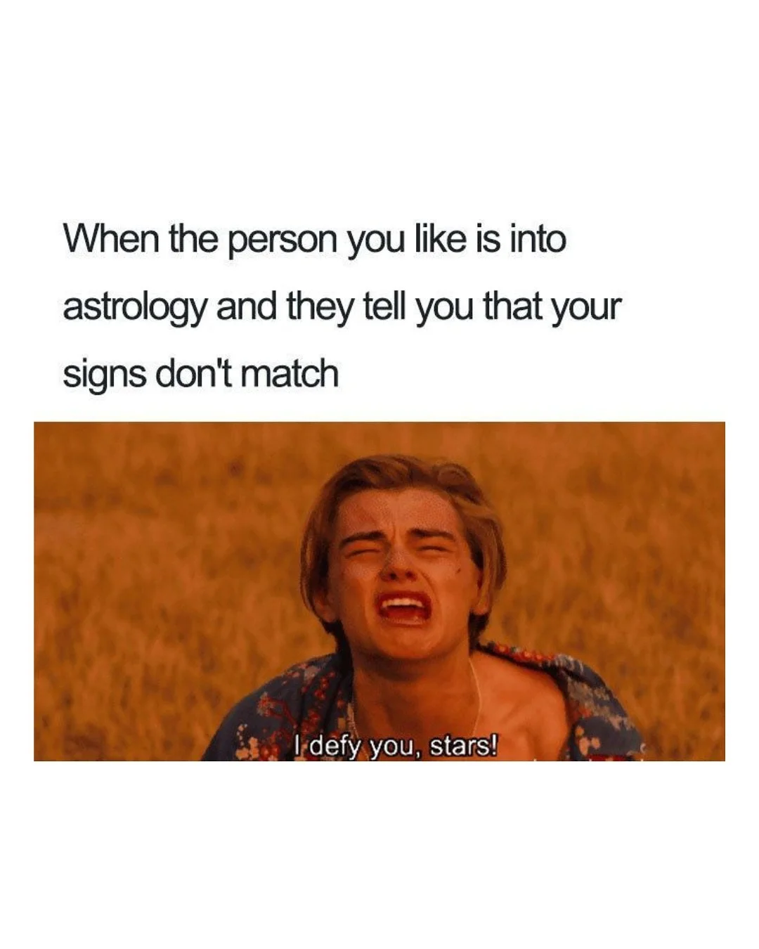 11/11 is not only Leonardo Di Caprio’s birthday… it’s also the date of my Cosmic Connections Workshop!
Comment๐ STARS below and I’ll send you the invite! ๐๐ฅ
When you sign up for £7 I’ll send you the existing