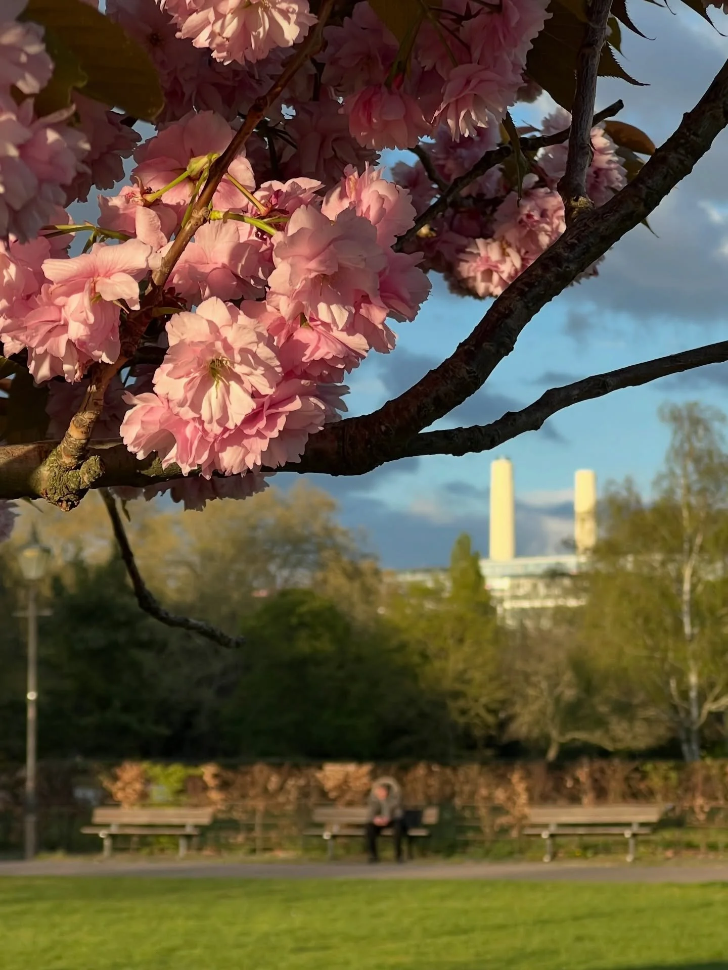 It&rsquo;s been A LONG time since I had an ecstatic run around Battersea! The first time was September 2012. I love it here. The colours. The birds. The smells. Even the plane noise. No where I&rsquo;d rather be. Uranus 29&deg; amping up all the natu