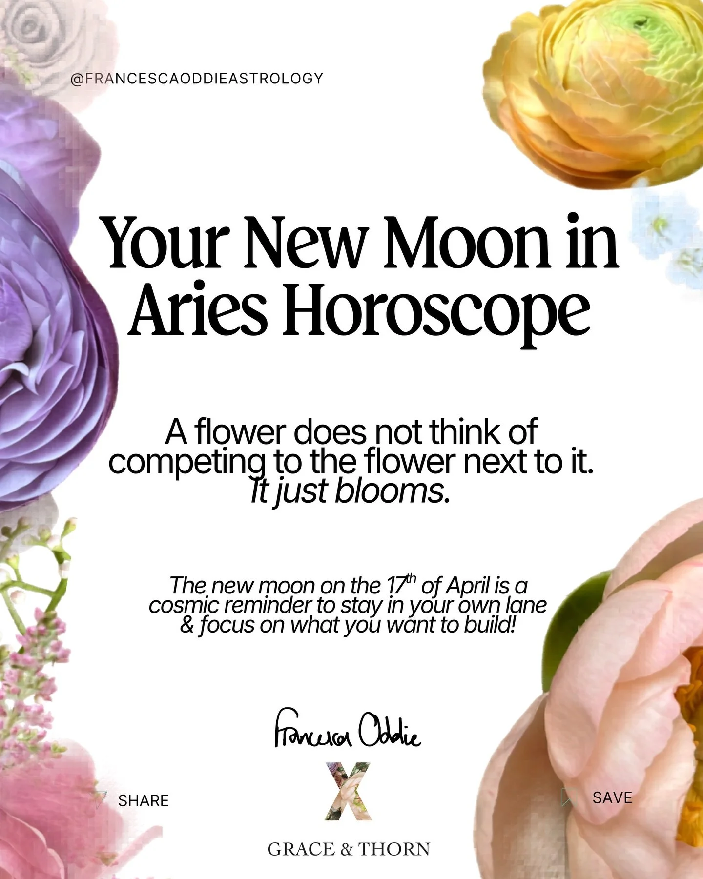 I put flowers on my vision board last month and HERE we are!  FLORAL HOROSCOPES!

Comment BLOOM to enter our competition!

@francescaoddieastrology
@graceandthorn 

Competition winner will be announced on the 20th of April! 

#ariesnewmoon #aries #bl