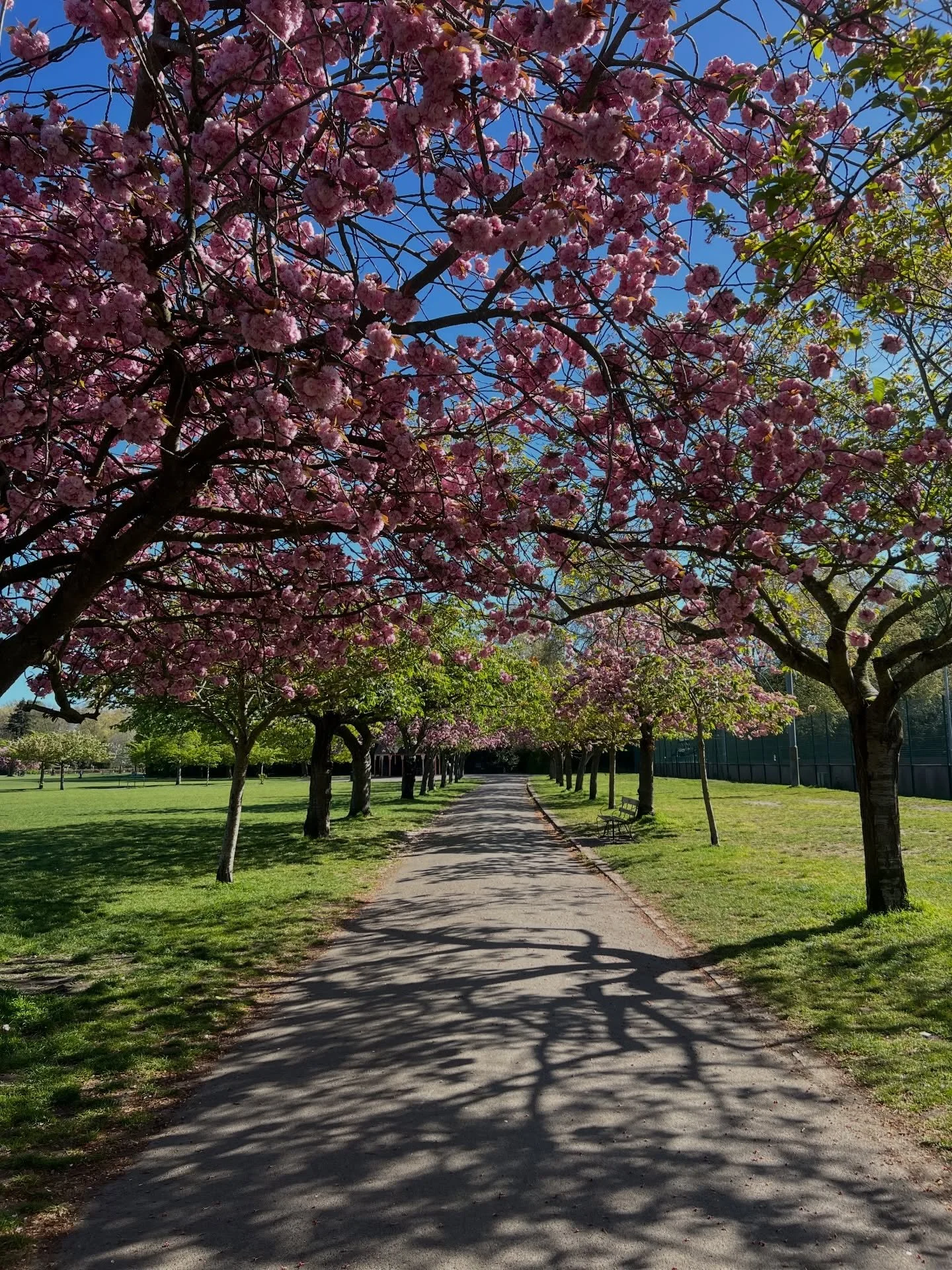 NEW MOON IN ARIES

Everything on fire, temper frayed, nervous system rattling and the internet telling us all THIS IS THE TIME TO START YOUR LIFE AGAIN MUTHAFUCKERRRRR!!!!

I remember a time when the New Moon was for RESTING. 

Were you around for th