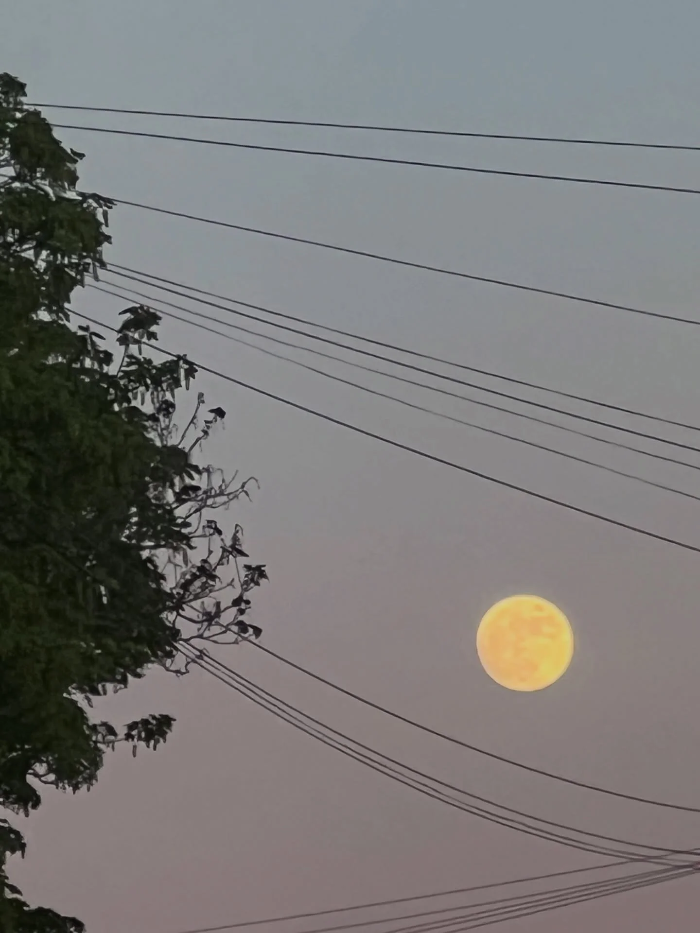 FULL MOON IN SCORPIO

That Taurus season beauty. I can never get enough of it. 

I&rsquo;ve written about this full moon in depth - and now here I am FEELING IT. 

Left my glasses, diary and mic at home today - racing to get out of Notts before the b