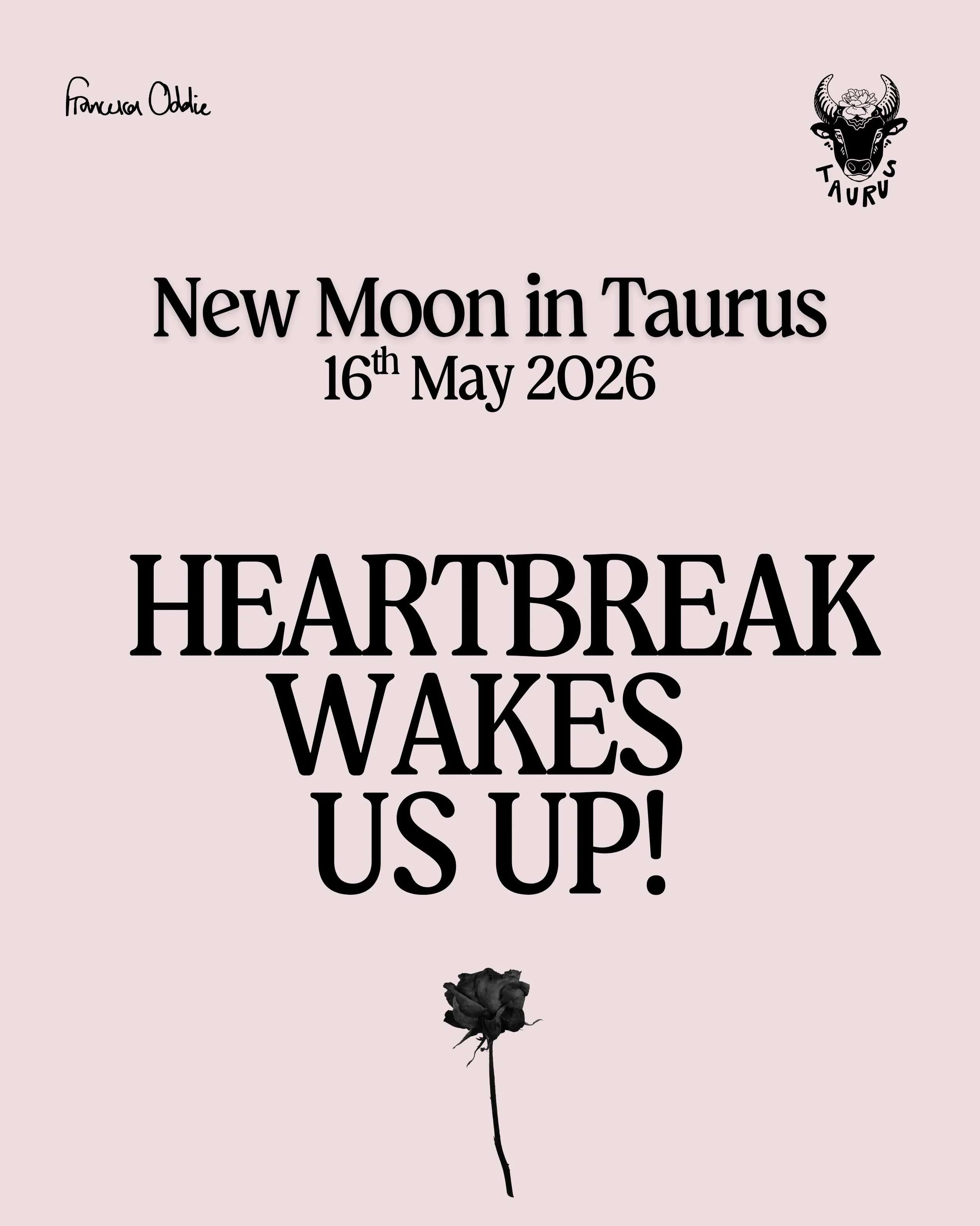 This new moon is an anxiety inducing supermoon and contrary to popular opinion it does involve Uranus. ⚡️

I think a good dose of remembering to have FAITH in everything and live fully in the moment as someone JOYFUL AND AUTHENTIC - whilst doing some