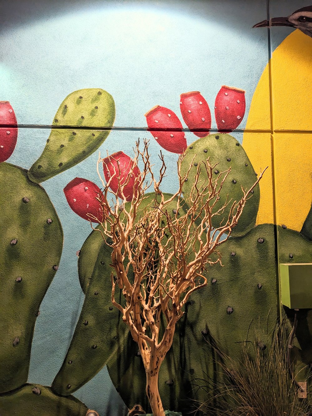 Mural of cactus with native plants in front