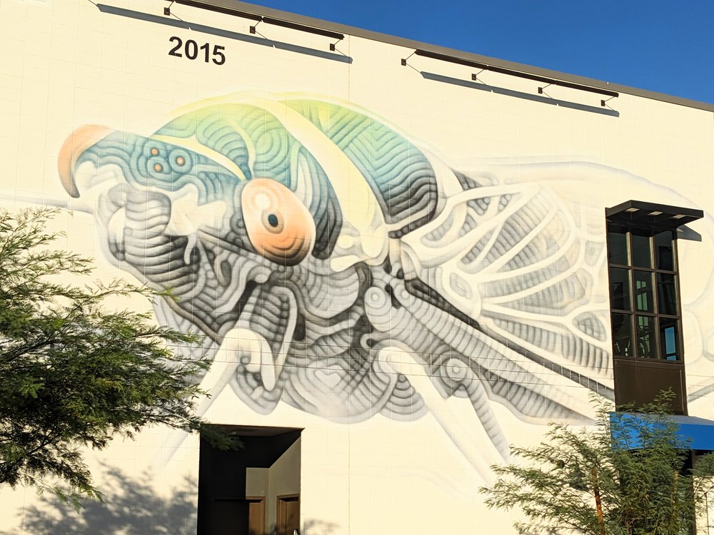 Mural of cicada by local artist