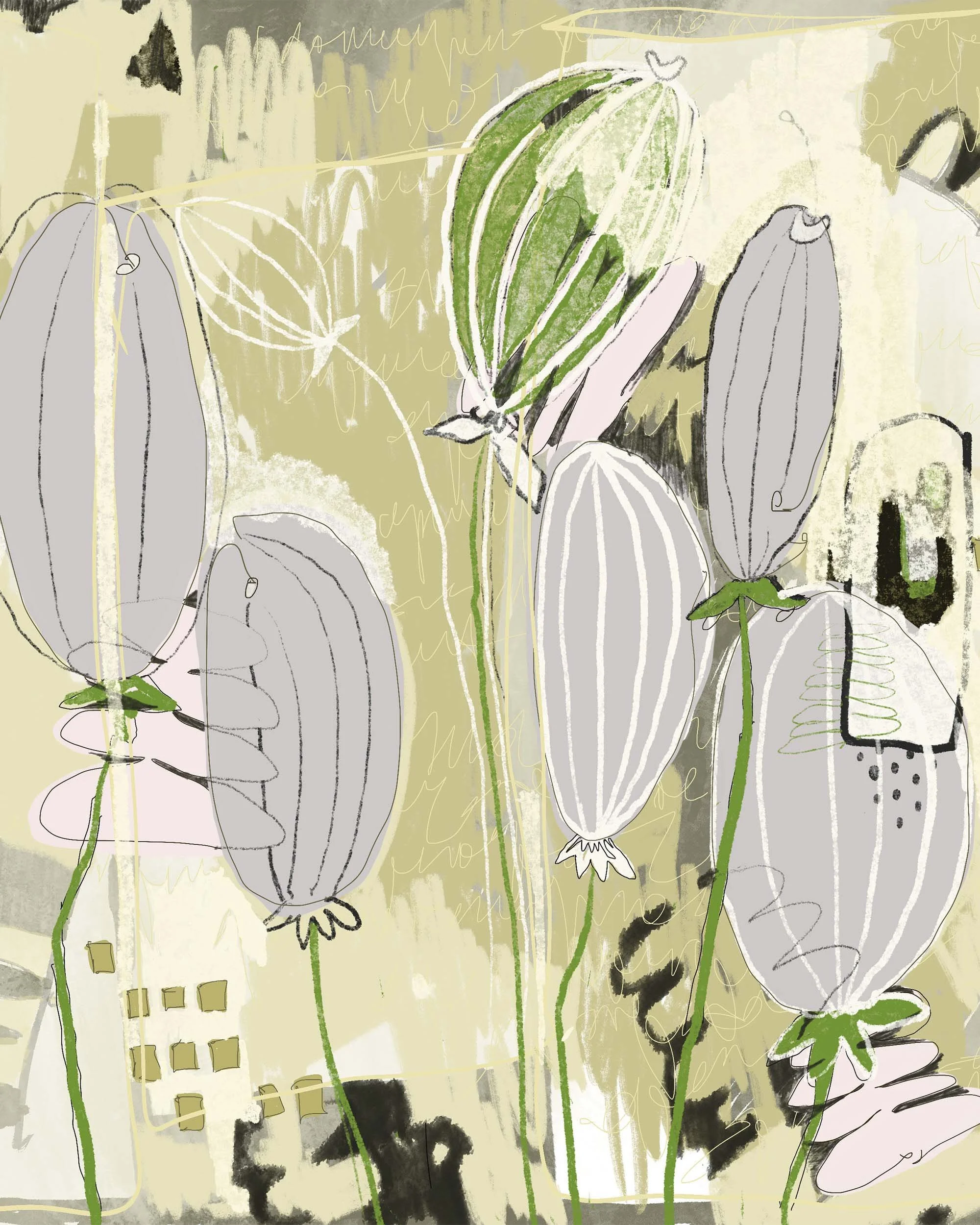 Seed Pod: After the Bloom