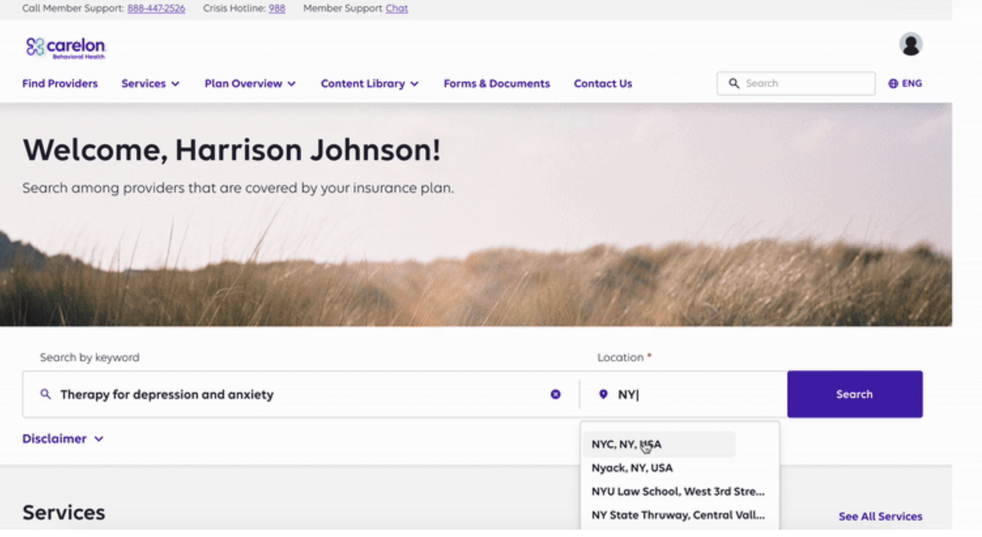Provider Search Screen (Copy)