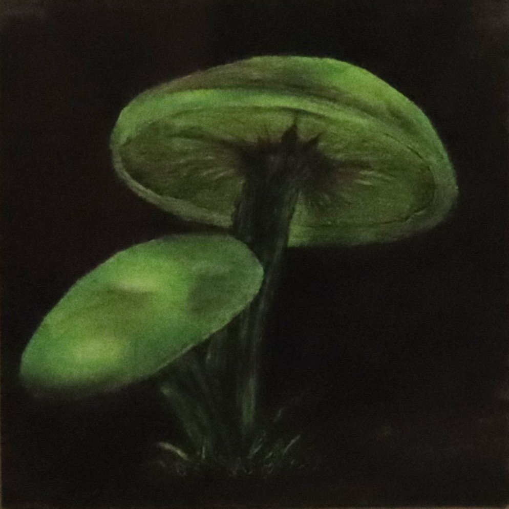 oil pastel-panets green mushroom.JPG
