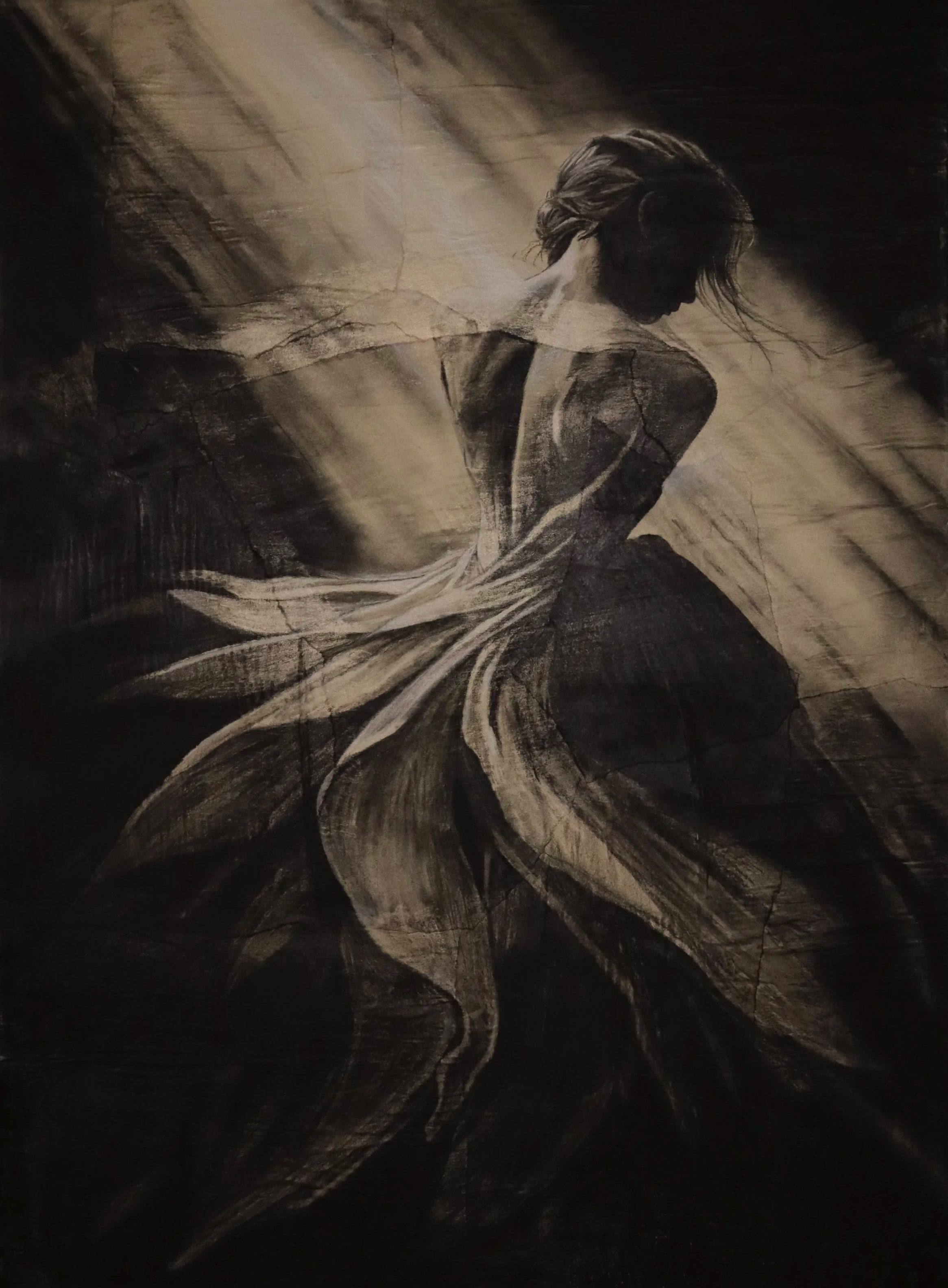 Petals in the Spotlight, Charcoal on collaged canvas, 36 × 48 in.