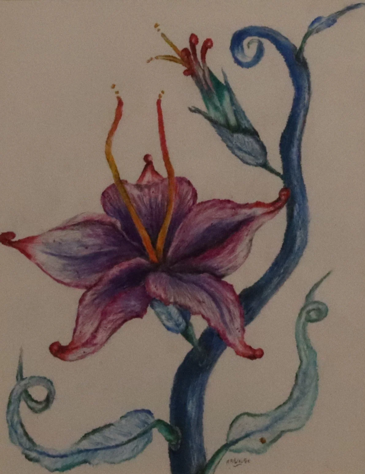 oil pastel-panets flower.JPG