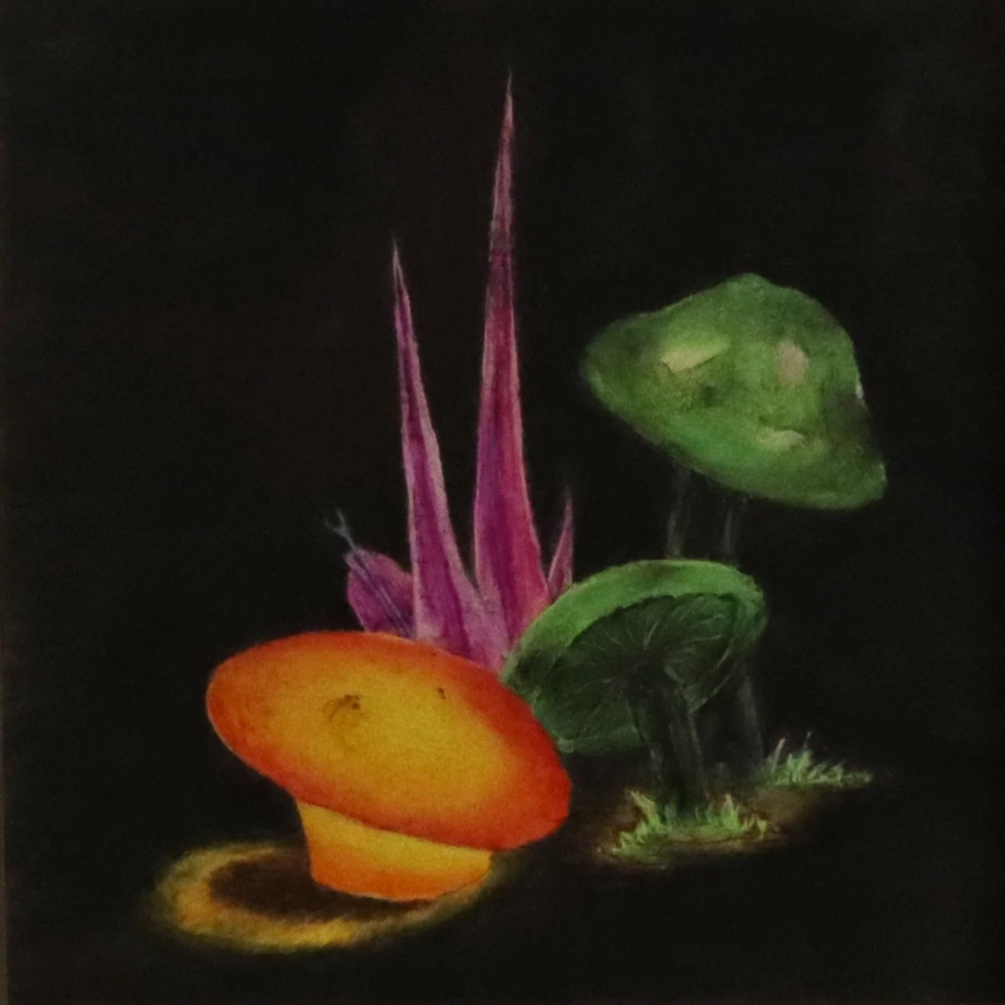 oil pastel-panets fungi.JPG