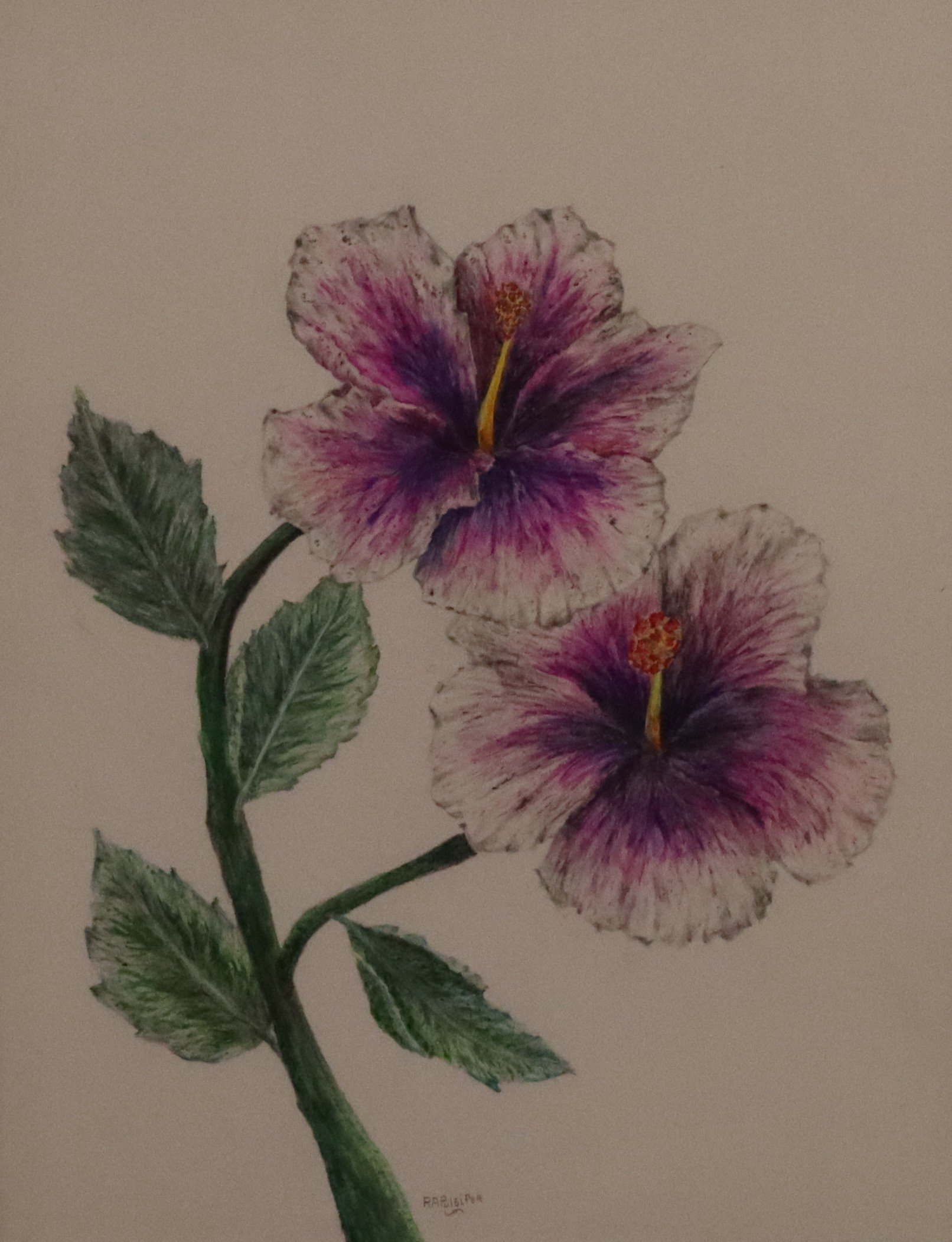 oil pastel- flowers pink.JPG
