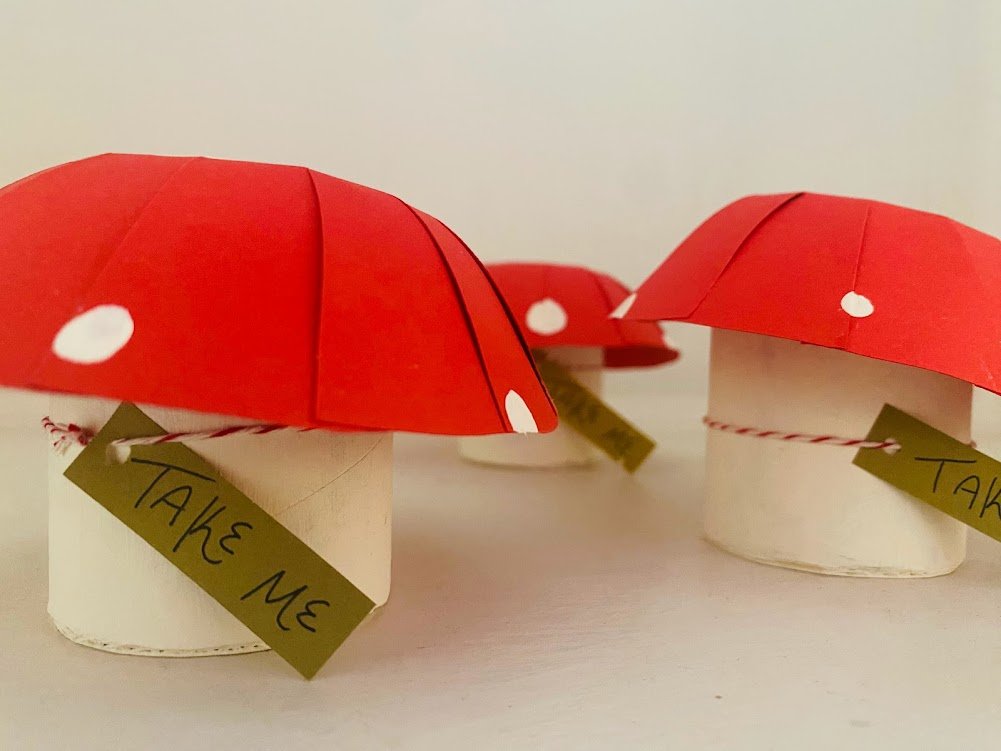 Handmade mushroom box favors