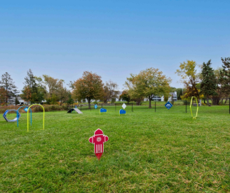 Dog park.png
