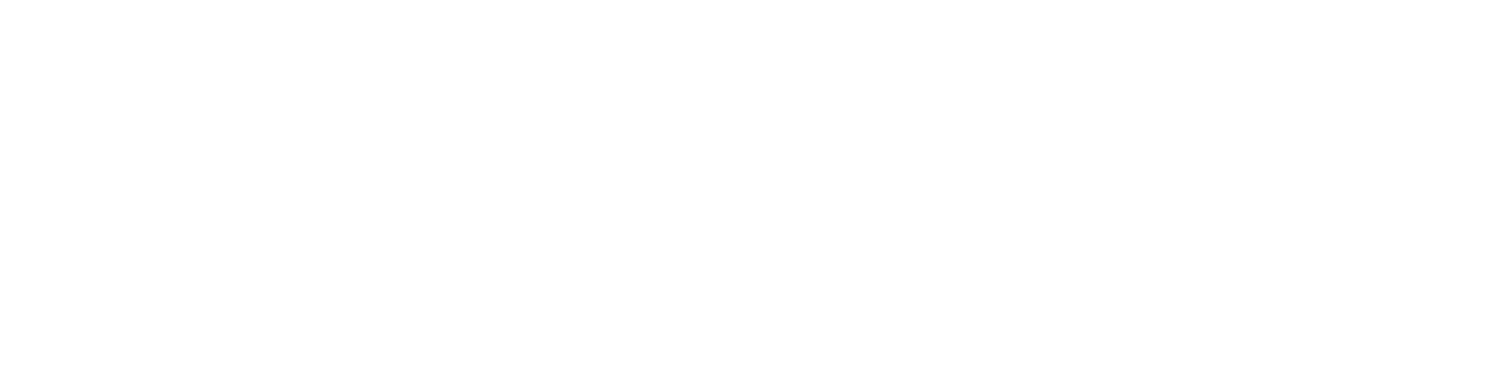 Boston Twilight Veterinary Care