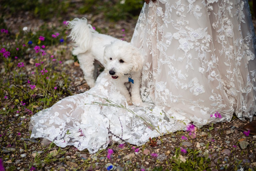 elope_montana_first_look0048.jpg