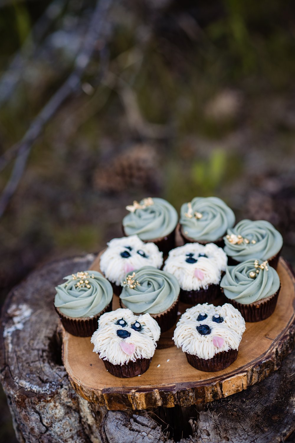 elope_montana_ceremony0118.jpg