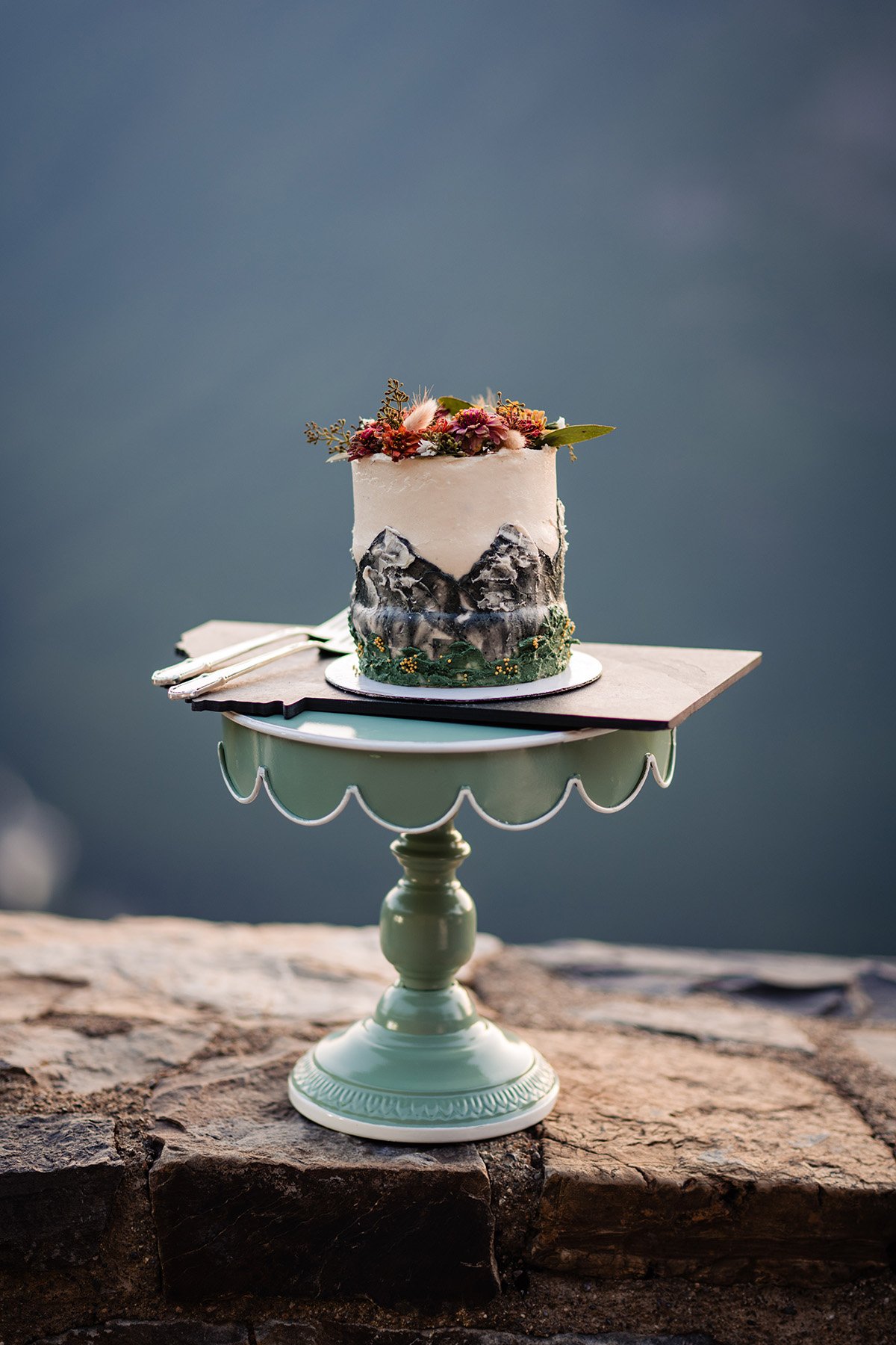 elope_montana_cake_moon0025.jpg