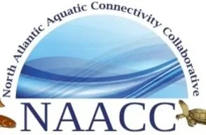 CULVERT &amp; DAM ASSESSMENT