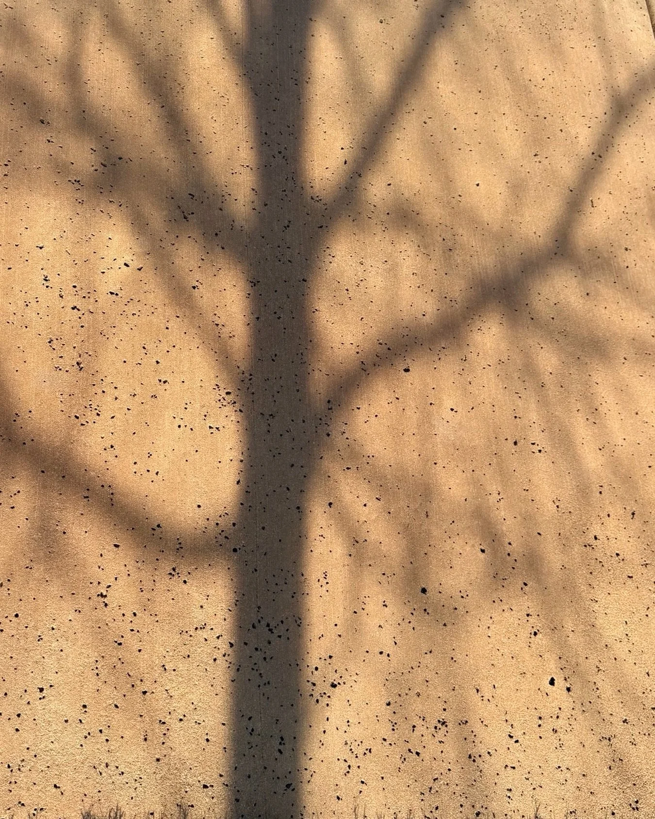 ✨ &ldquo;two things true&rdquo; 🧡&hearts;️ esso✨

this is . . . 
a photo. 
a shadow. 
a moment in time. 
artwork.
winter light.
walking backwards. 
strength. 
a schoolhouse.
a church.
a home. 
vulnerability. 
a hand holding a doorknob.
an ache letti