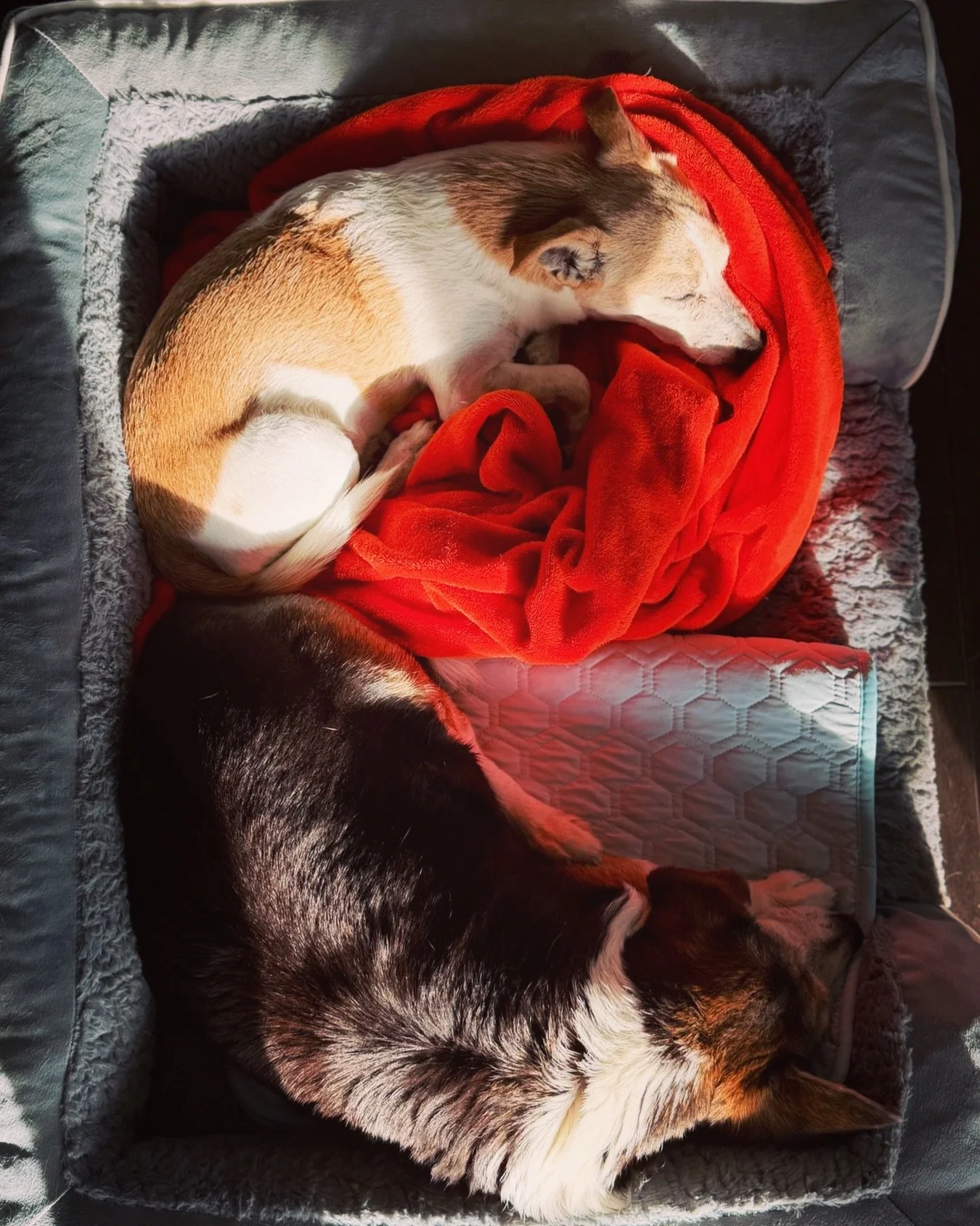 ✨favorite moon phase&mdash;sleepy crescent 🌙🫶 

#esso_overflow #bpbpbc #love♾️