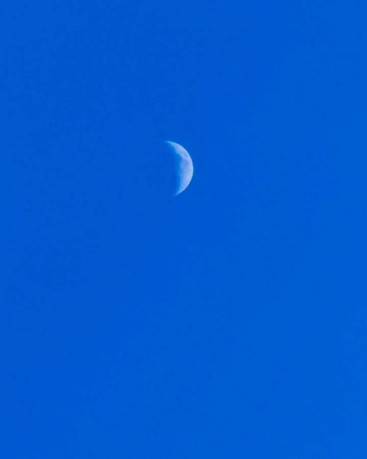 Happy moon-day, loves 🌙🫶 This week we welcome the first quarter moon in Gemini ♊️🌓 &amp; are officially underway with Pisces season &amp; Year of the Fire Horse. With Pisces being a water sign, I am feeling it will pair with the Fire Horse energy 