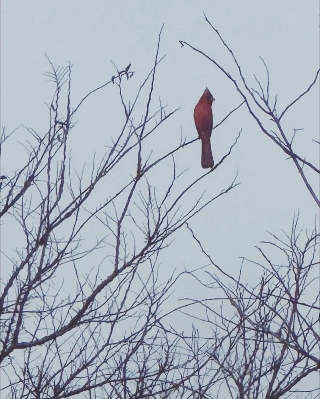 &ldquo;Hope in the shade&mdash;ooh la la&rdquo; 🧡&hearts;️ esso 

#esso_overflow #bpbpbc #love♾️ #meetyourselfwithlove