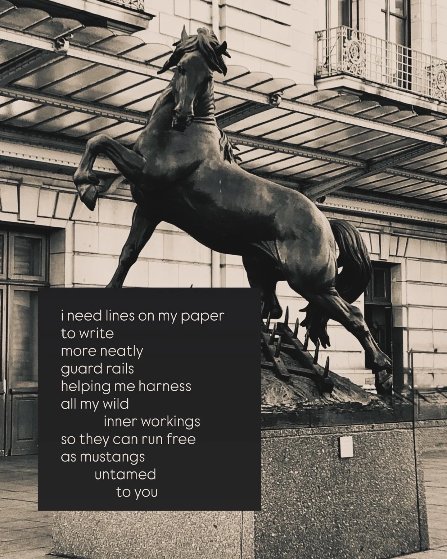 ✨ mustang mind 🧡&hearts;️esso ✨

it&rsquo;s a wild open field &amp; a fleeting blur of handwriting, as much as i would rear up at being tamed&mdash;a guardrail &mdash; a  lined page is what harnesses their energy &amp; I need them just as much as th