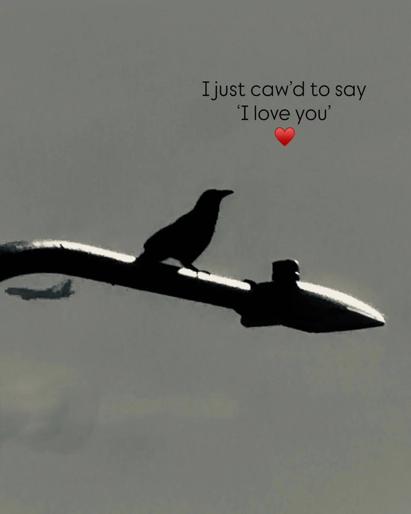 💌🐦&zwj;⬛❣️ esso ✨

#esso_overflow #bpbpbc #poetryplayground #love♾️