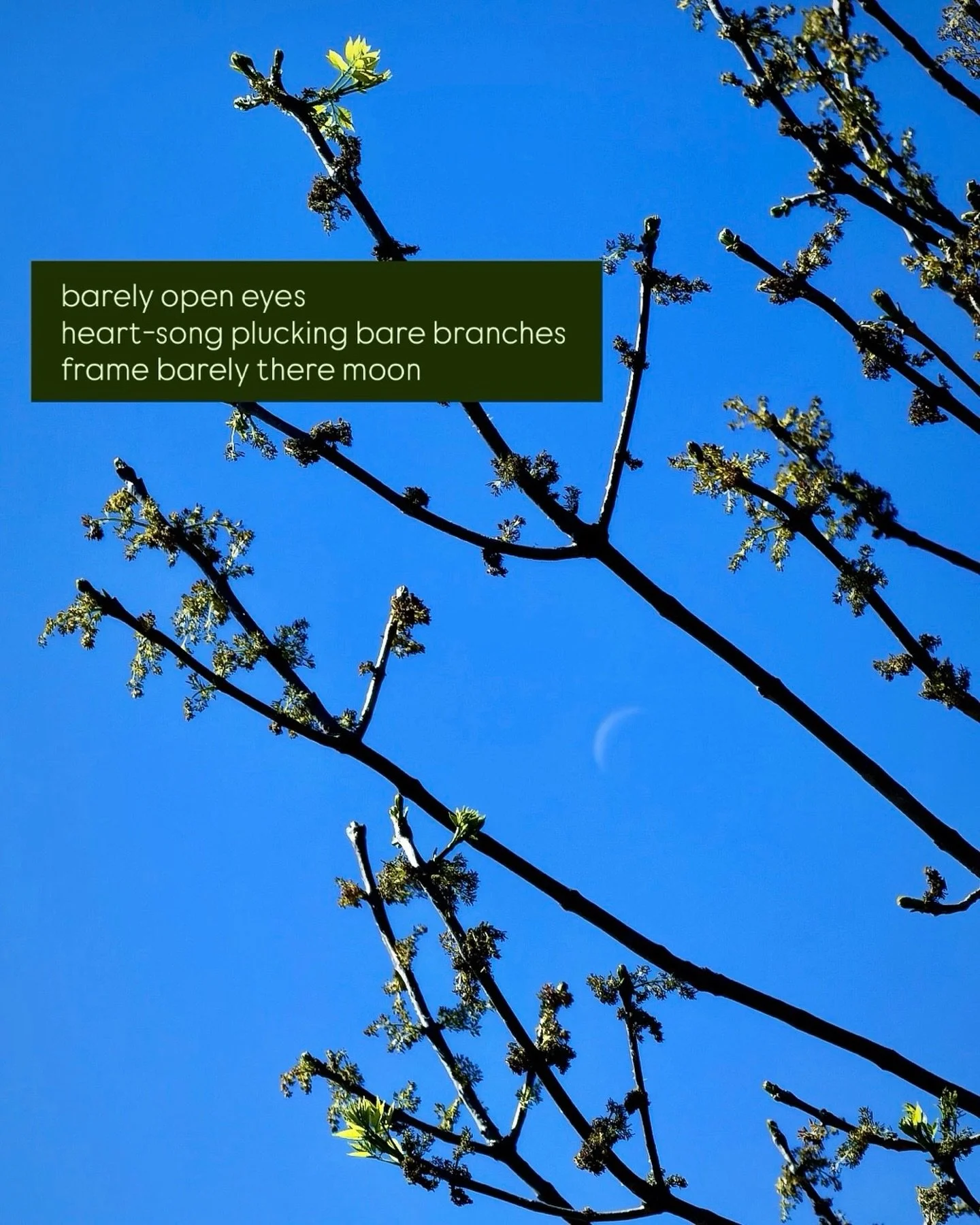 barely there poem | barely there moon 🧡&hearts;️

happy new moon in pisces, loves &mdash;a dark moon at the end of zodiac year wrapping up another wild ride through the tides of all feelings, experiences, waves of light &amp; inky depths. 💫

this m