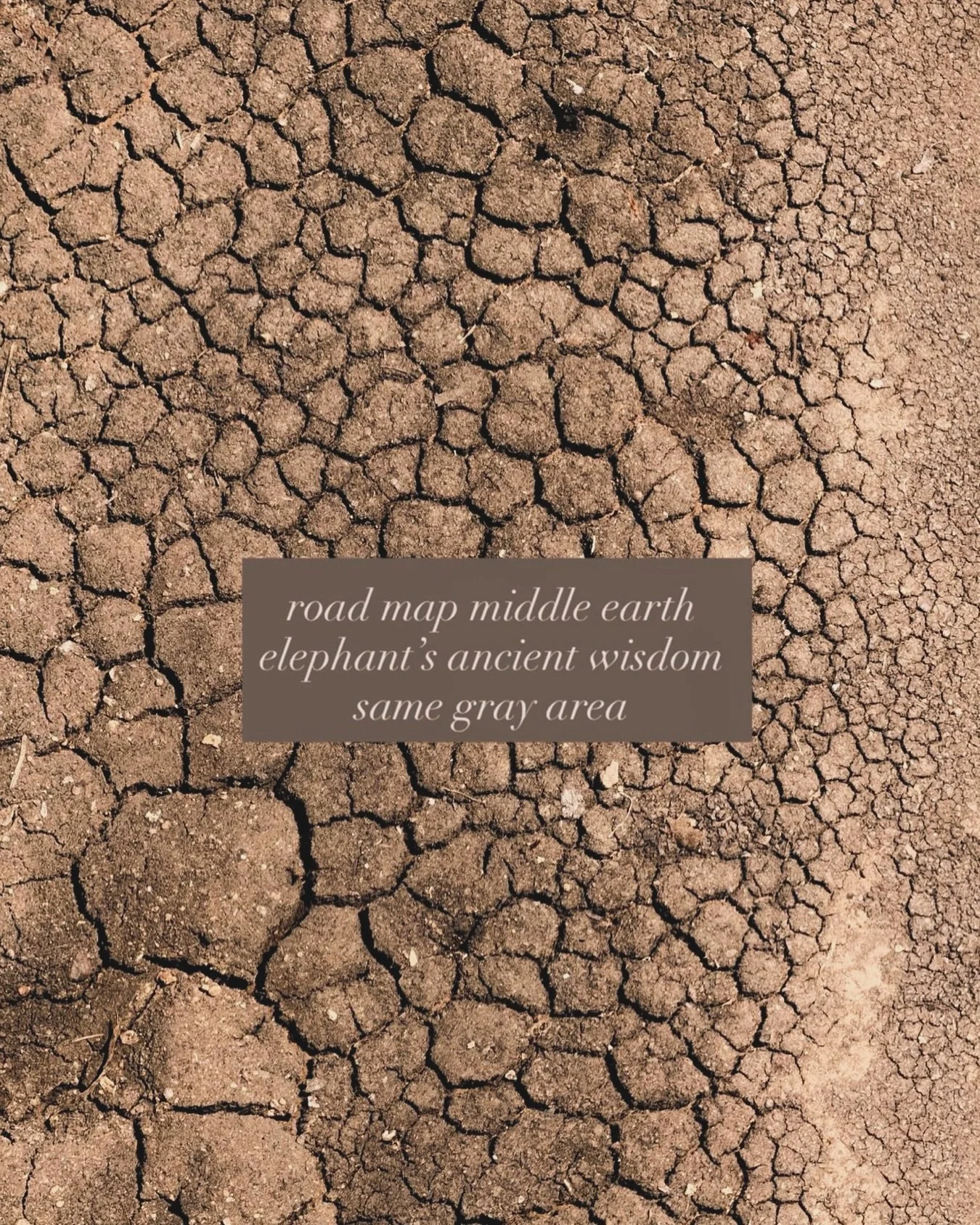 ✨ haiku fun 🧡&hearts;️ esso ✨

#esso_overflow #bpbpbc #poetryplayground #love♾️ #haikufun