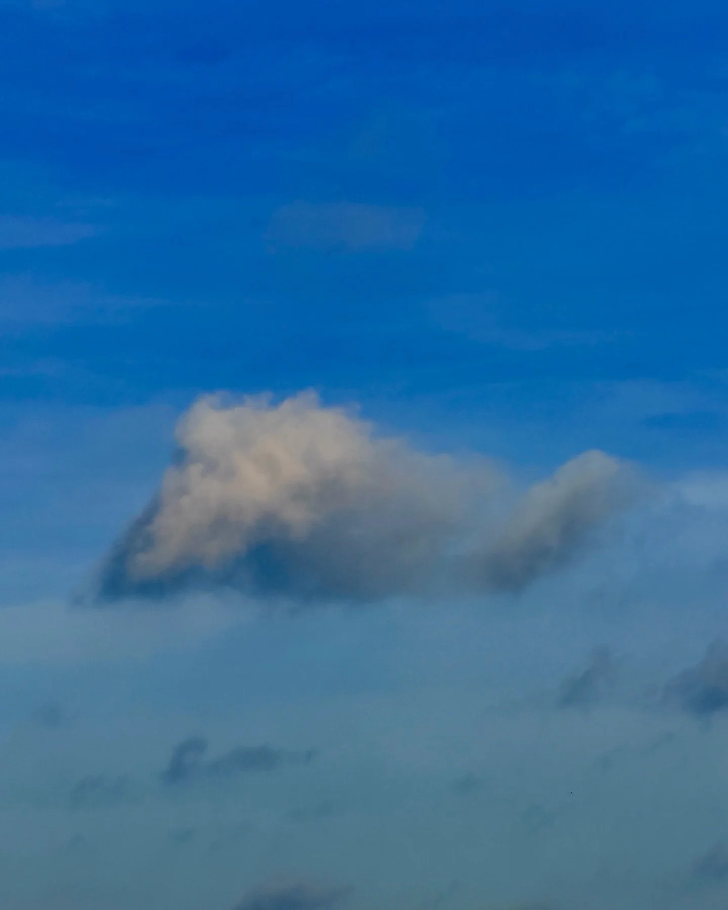 🐌☁️haiku fun | challenge ⬇️🧡&hearts;️ esso ✨

💌 fresh in from a walk with some of the most beautiful clouds. ⛅️ this one looks like a snail to me &amp; I can&rsquo;t wait to write a haiku for it. 📝 

✍️ join me &mdash;with your own caption or hai