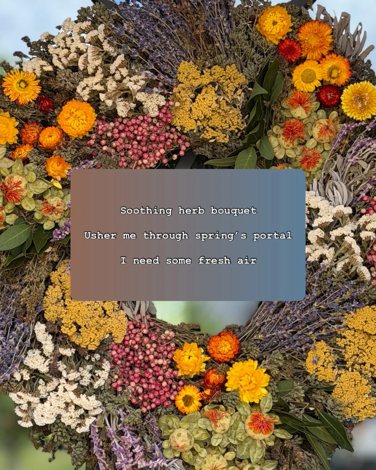 🪻🌱🌀 haiku fun 🧡&hearts;️ esso ✨

💌 happy friday, everyone 💫

✍️📝 prompt invitation :: haiku 

✨ have fun ✨

#esso_overflow #bpbpbc #poetryplayground #haikufun #napowrimo