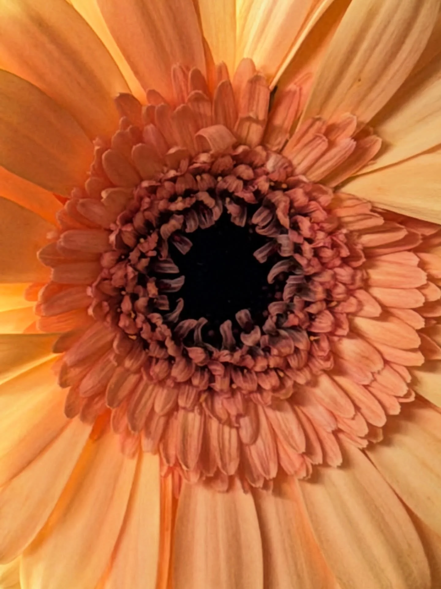 ✨ happy 🌑 in ♈️ &amp; all their friends 🧡&hearts;️

💌 take what you need 🕯️

&amp; a moment or 99 to appreciate you 
&amp; do something nice for you. 🫶💫

#esso_overflow #bpbpbc #love♾️ #meetyourselfwithlove #ariesstellium