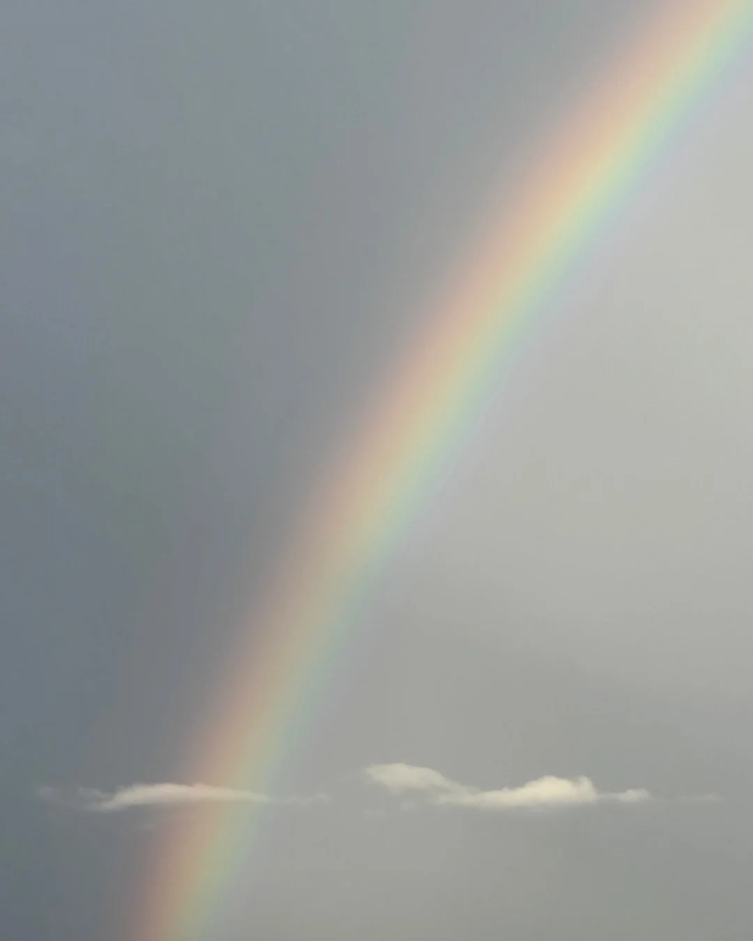 ✨ 🌈 ✨happy pride, lovers &hearts;️🧡💛💚🩵💙💜

Haiku fun :: 

Seven colors streak 
Atmosphere exclaiming joy 
Happy pride, lovers ! 

&hearts;️🧡💛💚🩵💙💜

Gah! I love when the sky shows us love is limitless &amp; for each &amp; every one of us ✨?
