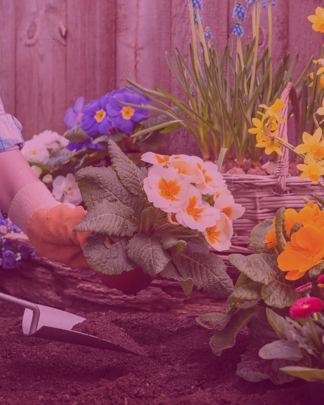 Creating a Company Culture That Actually Sticks (Not Just Sounds Good on a Wall)