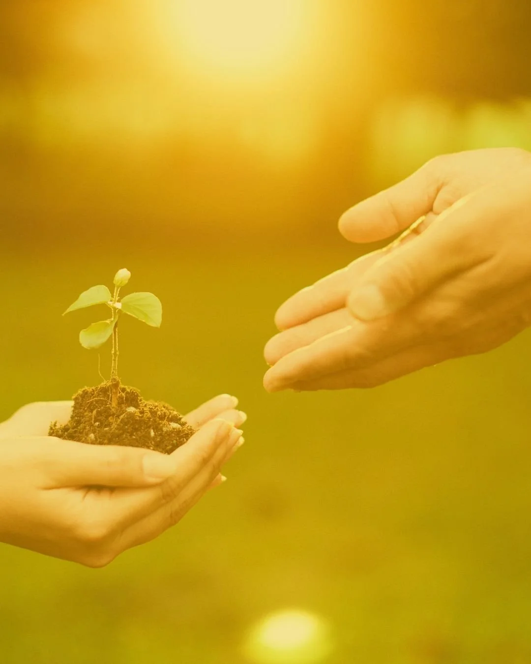 The Retirement Dream I Didn't Expect to Have at 46