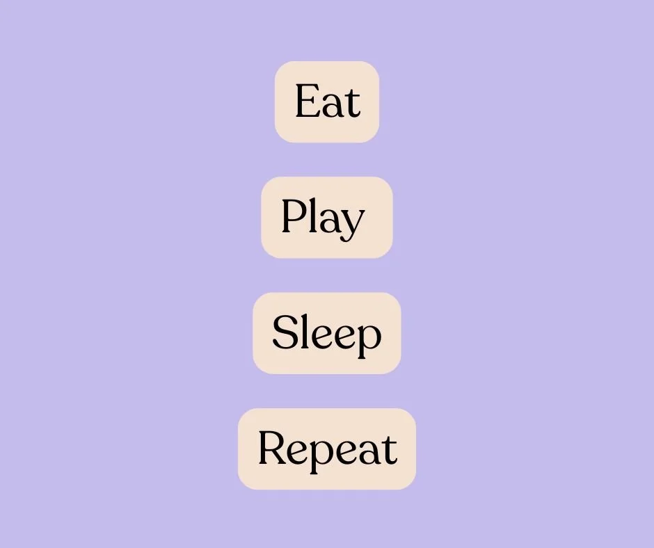 The Truth About the Eat, Play, Sleep Routine: Why It Doesn’t Work for Every Baby (And What Actually Helps)