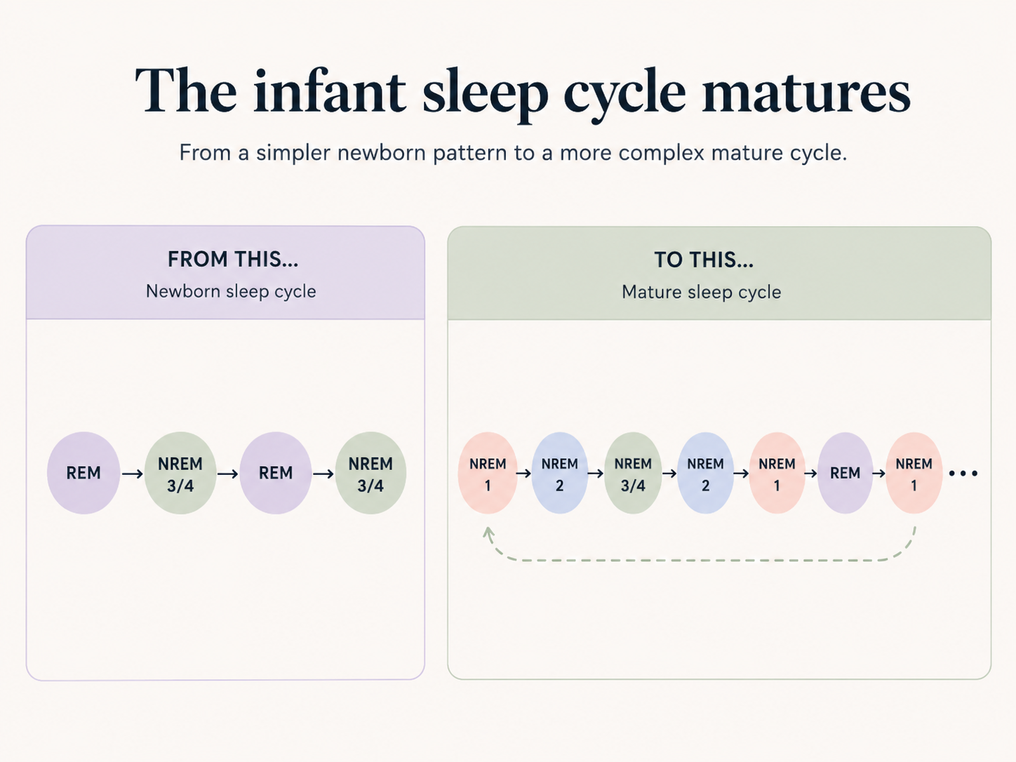 Diagram showing how baby sleep cycles change during the four month sleep progression