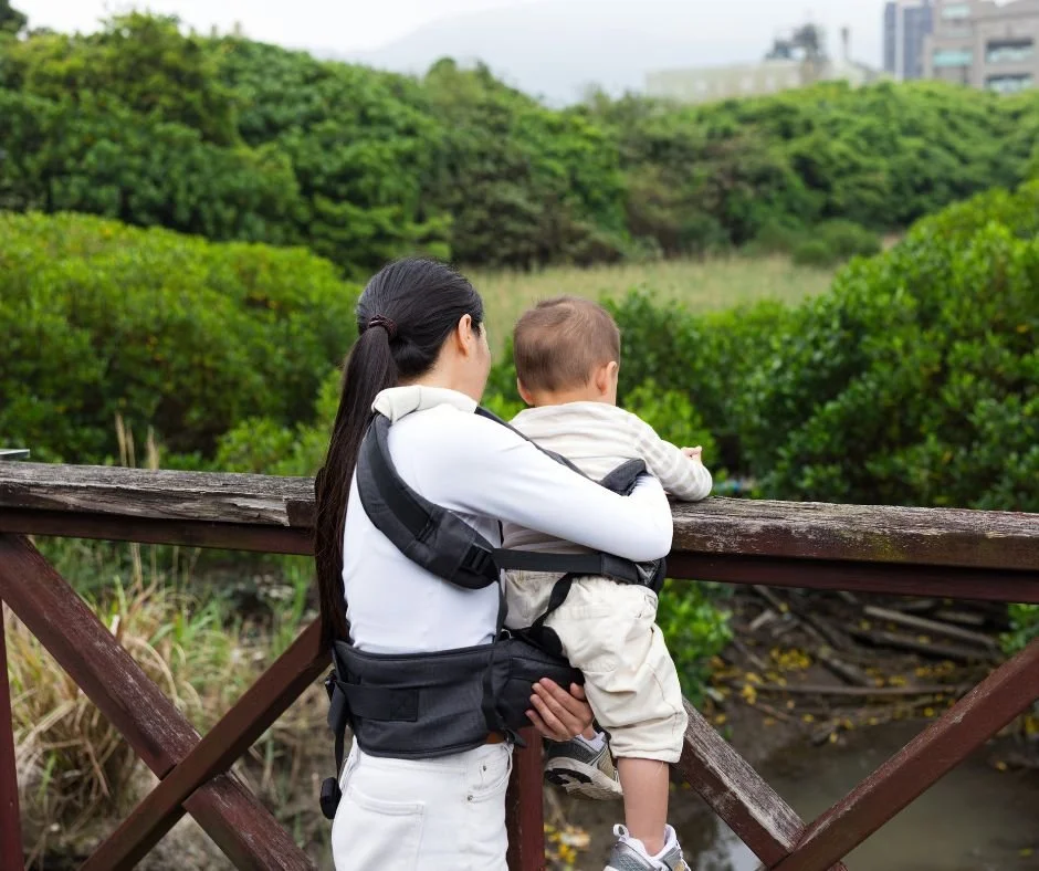 Parent carrying a toddler in a baby carrier while looking out over a green landscape together