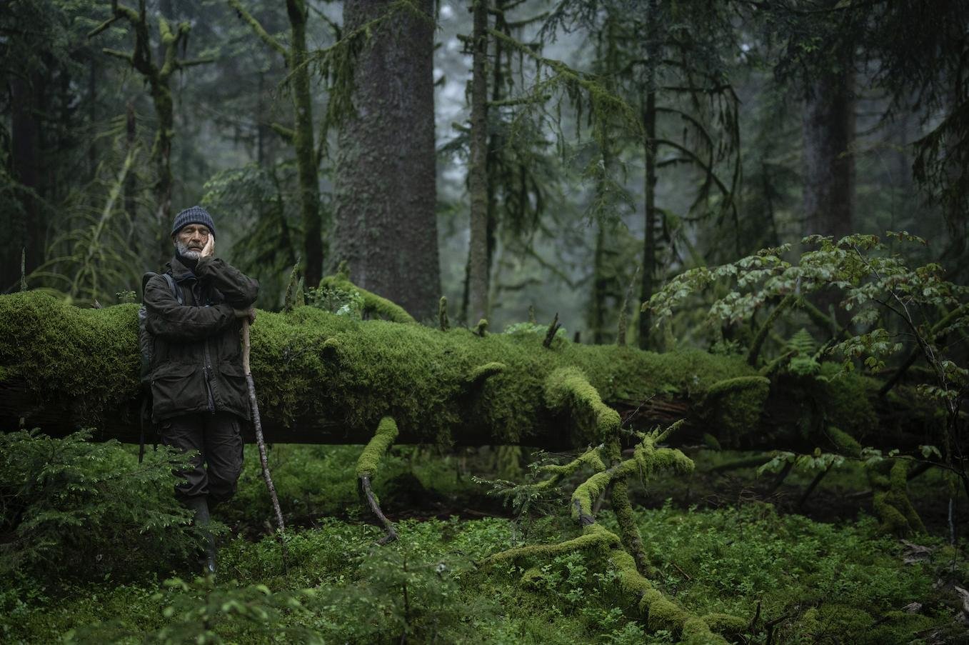 Premiere 26. november: WHISPERS IN THE WOODS